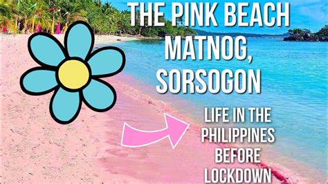 pink beach bicol.